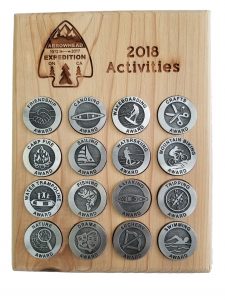 Activity Medallion Award Plaque