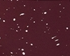 Speckled Burgundy