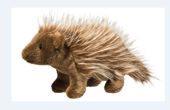 Percy Porcupine