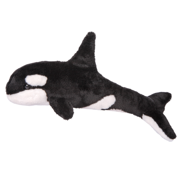 Spout Orca Whale