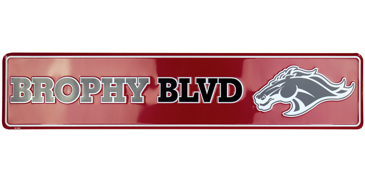 Aluminum Street Sign – Large