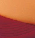 Gold/Maroon