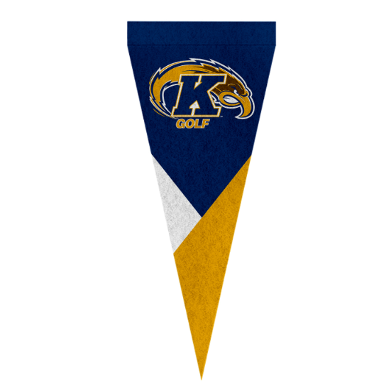 Triangle Felt Pennant (Medium)