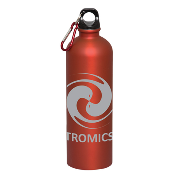 Matte Stainless Bottle (25 oz)