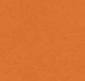 Safety Orange